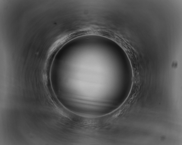 X0000100750245200806191150