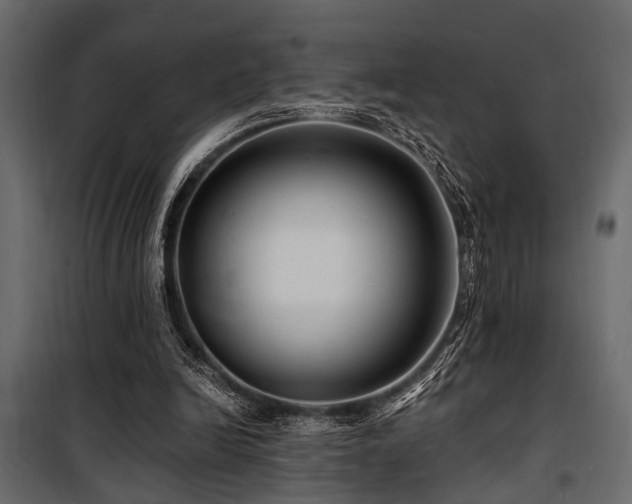 X0000100750246200806191150