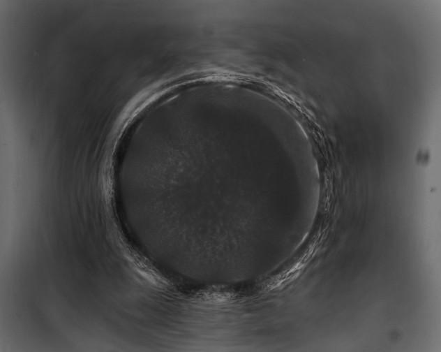 X0000100750247200806191150