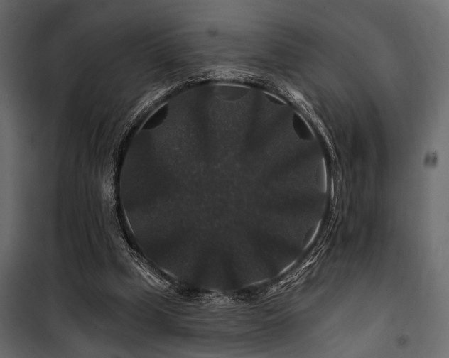 X0000100750249200806191150