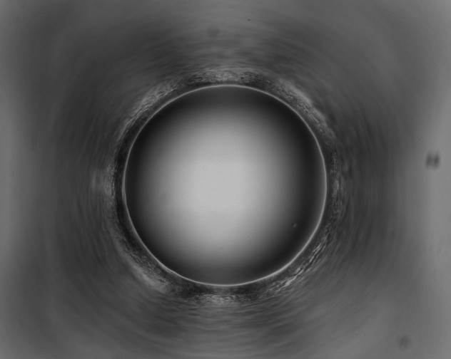 X0000100750250200806191150