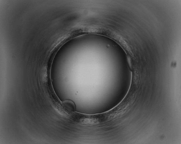 X0000100750251200806191150