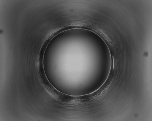 X0000100750252200806191150