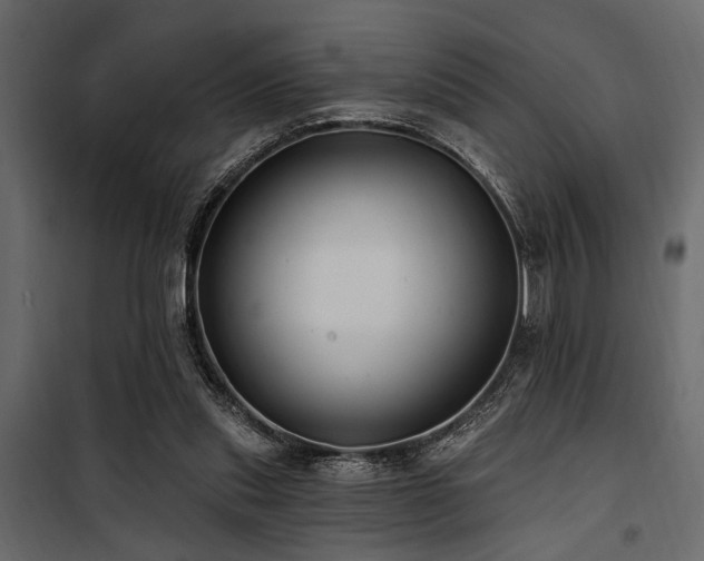 X0000100750253200806191150