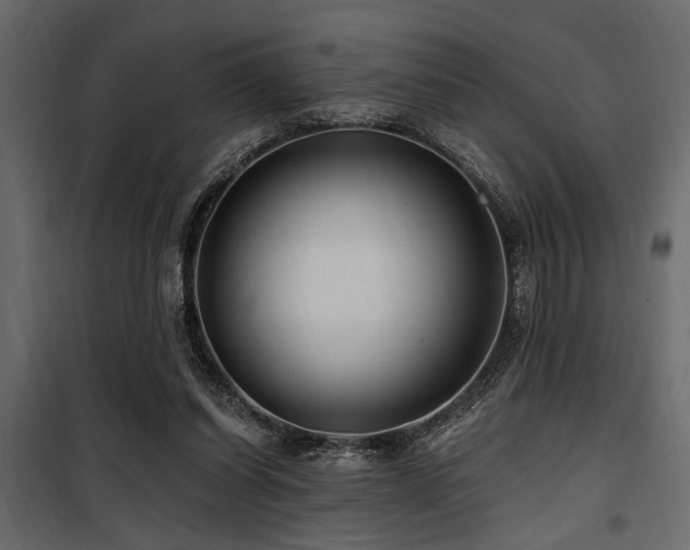 X0000100750254200806191150