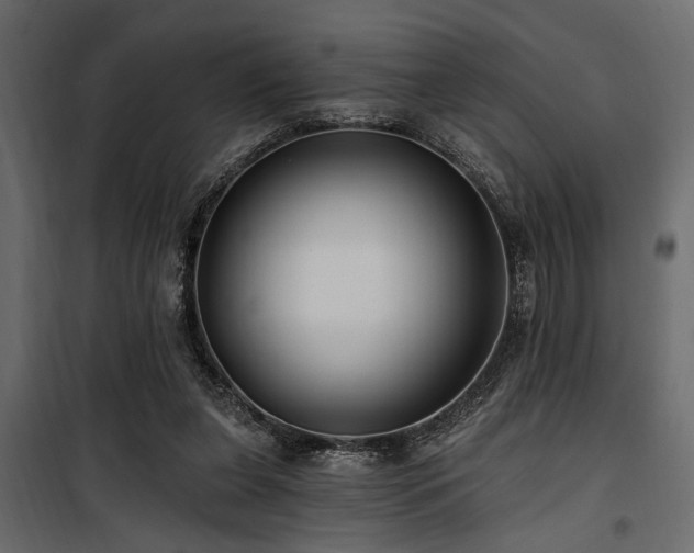 X0000100750255200806191150