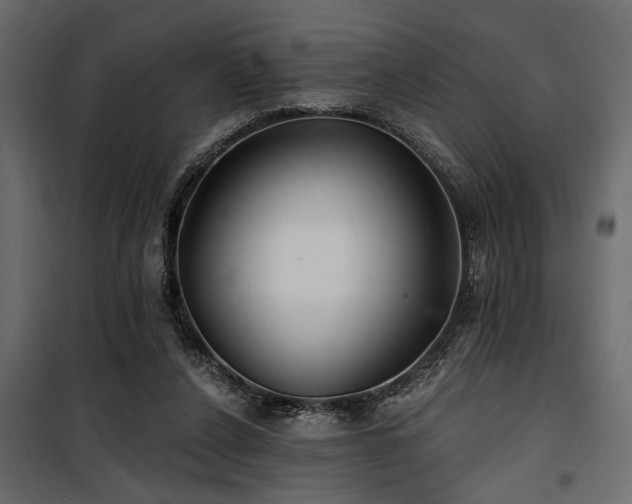 X0000100750256200806191150