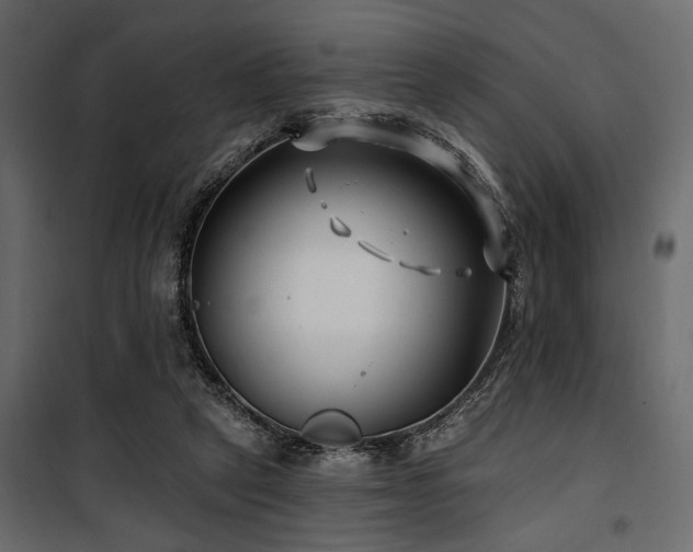 X0000100750257200806191150