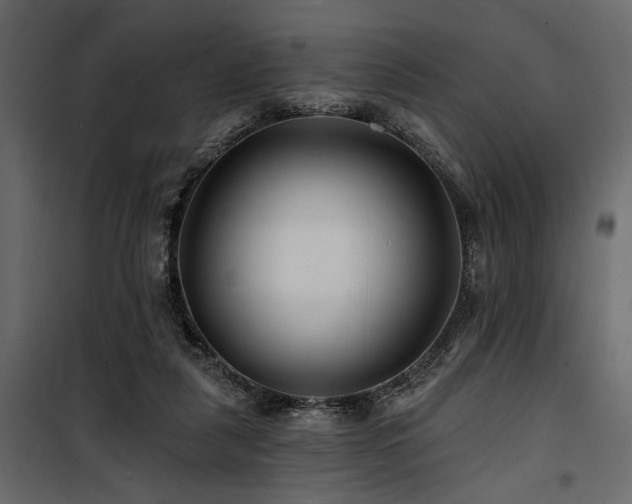 X0000100750259200806191150