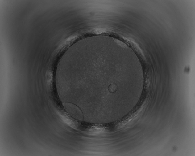 X0000100750260200806191150