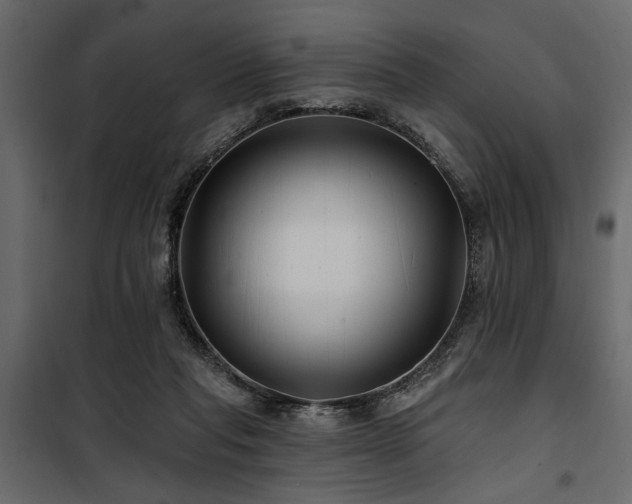 X0000100750261200806191150