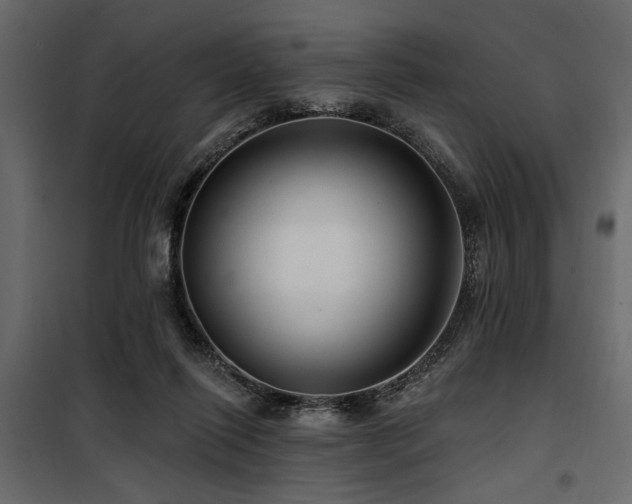 X0000100750262200806191150