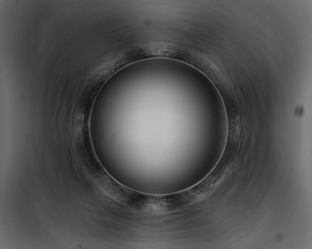 X0000100750263200806191150