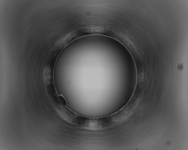 X0000100750264200806191150