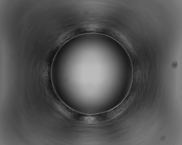 X0000100750265200806191150