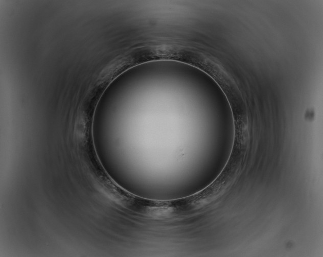 X0000100750266200806191150