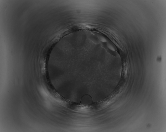 X0000100750267200806191150