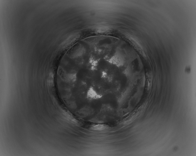 X0000100750269200806191150