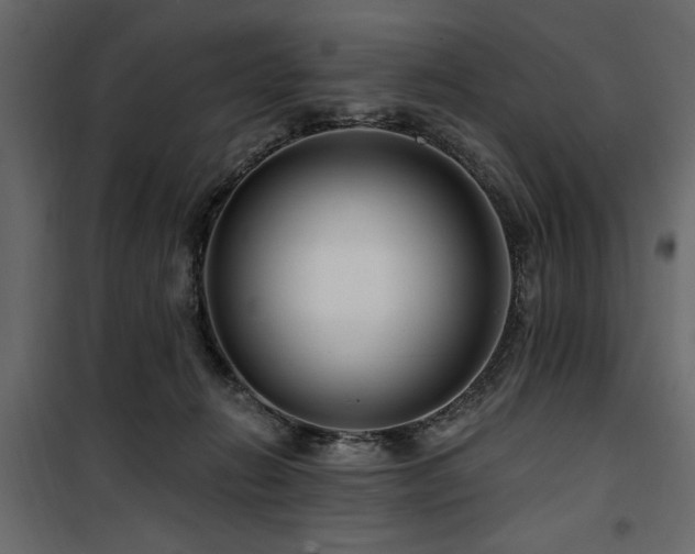 X0000100750270200806191150