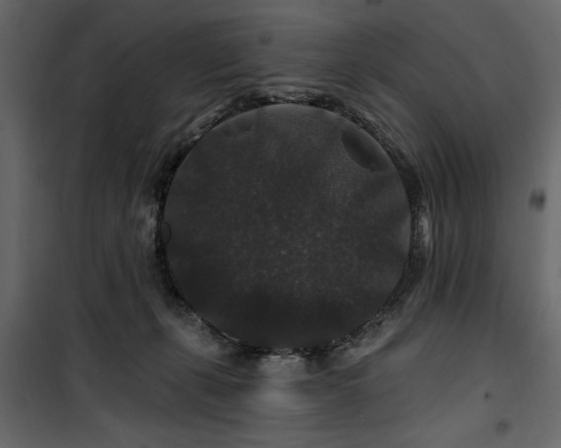 X0000100750271200806191150