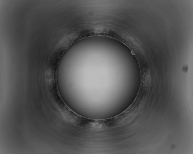 X0000100750272200806191150