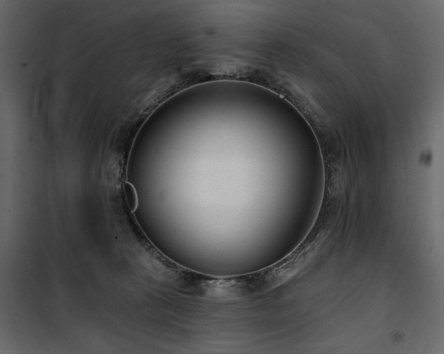 X0000100750273200806191150