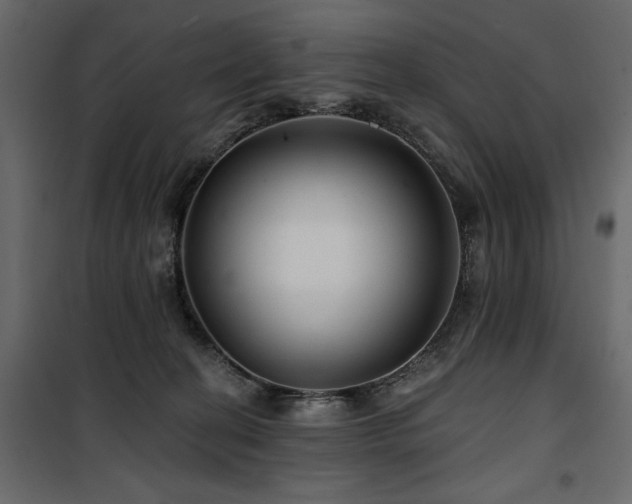 X0000100750274200806191150