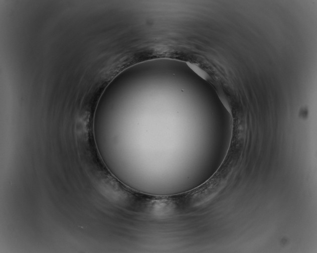 X0000100750275200806191150