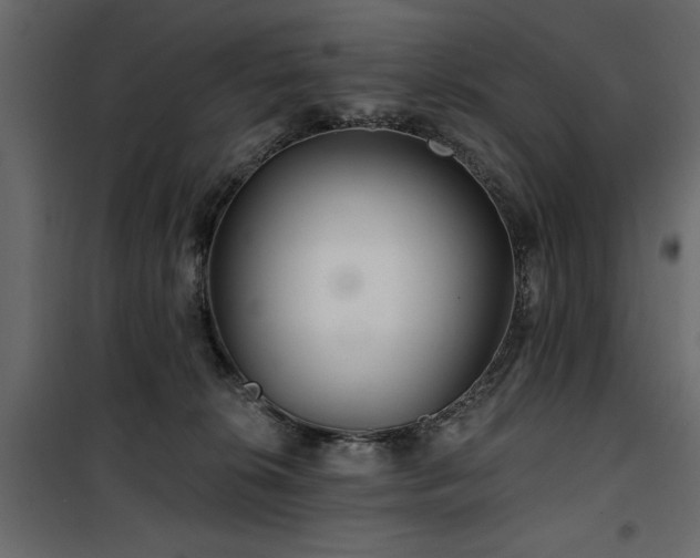 X0000100750276200806191150