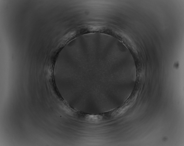 X0000100750277200806191150