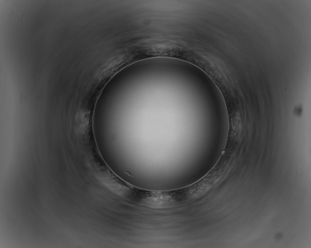 X0000100750278200806191150