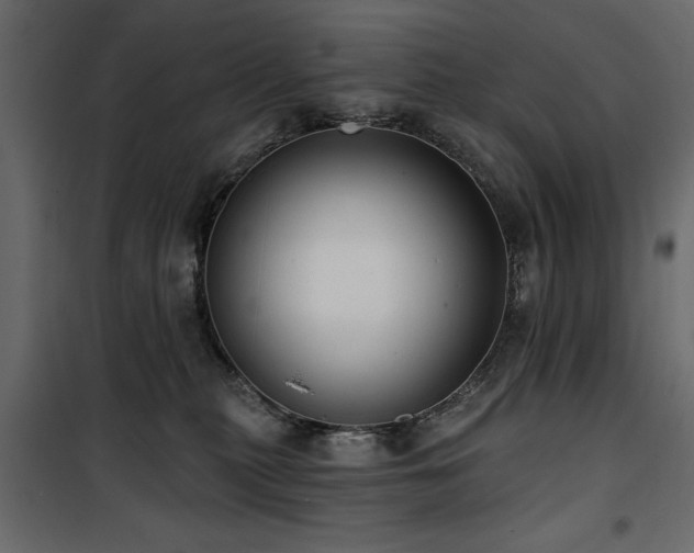 X0000100750279200806191150