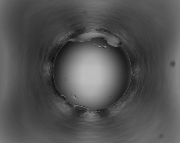 X0000100750280200806191150