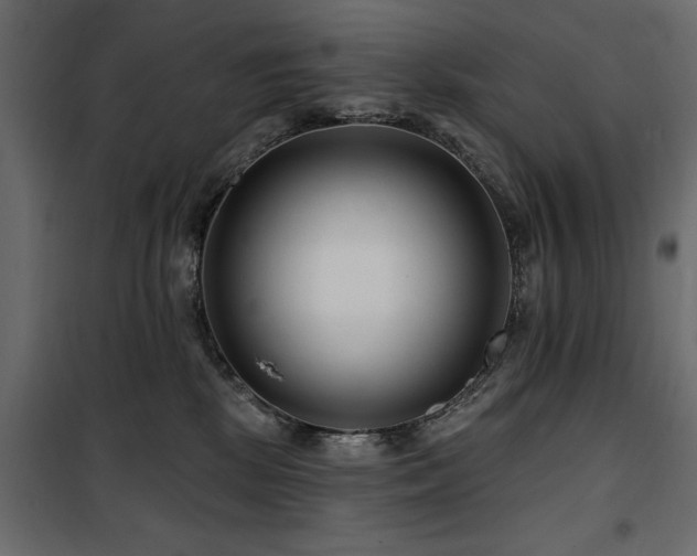 X0000100750281200806191151