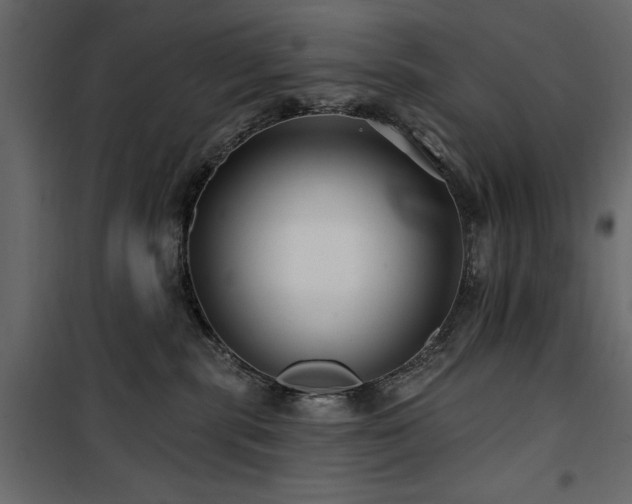 X0000100750283200806191151