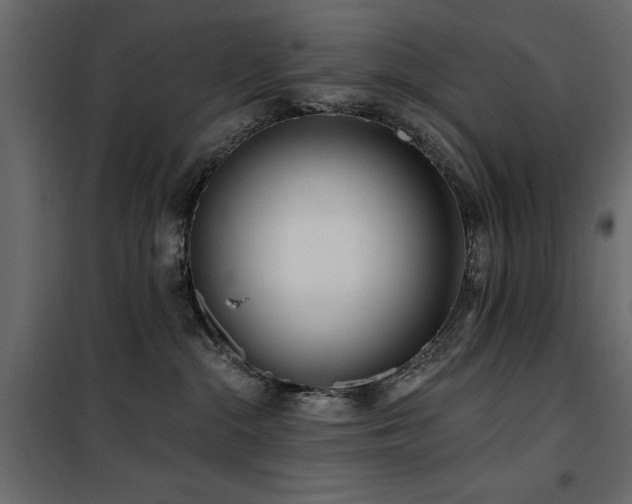 X0000100750284200806191151