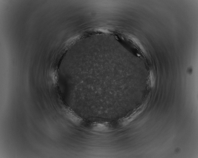 X0000100750285200806191151