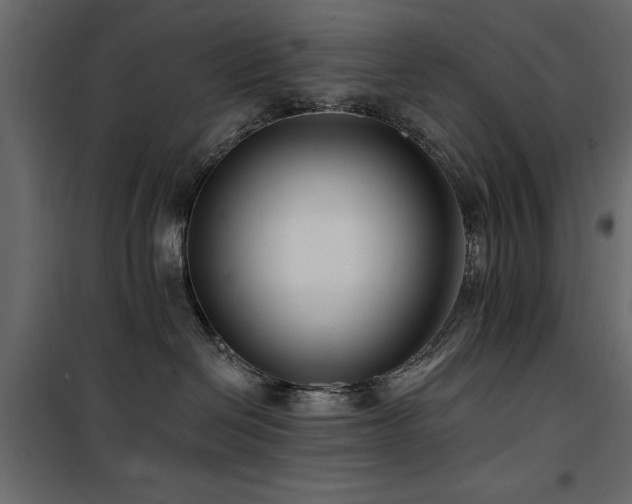 X0000100750286200806191151