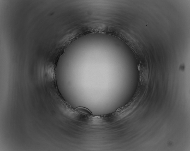 X0000100750287200806191151