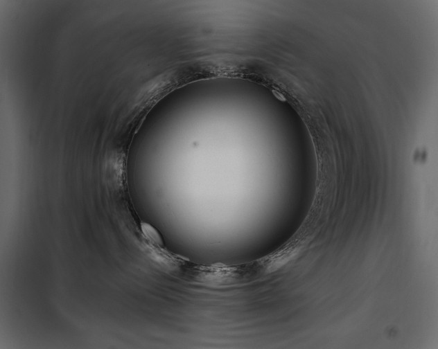 X0000100750288200806191151