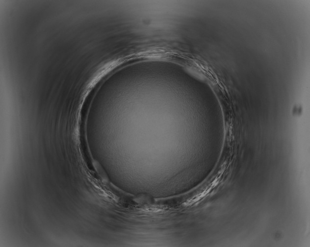 X0000100750292200806191150