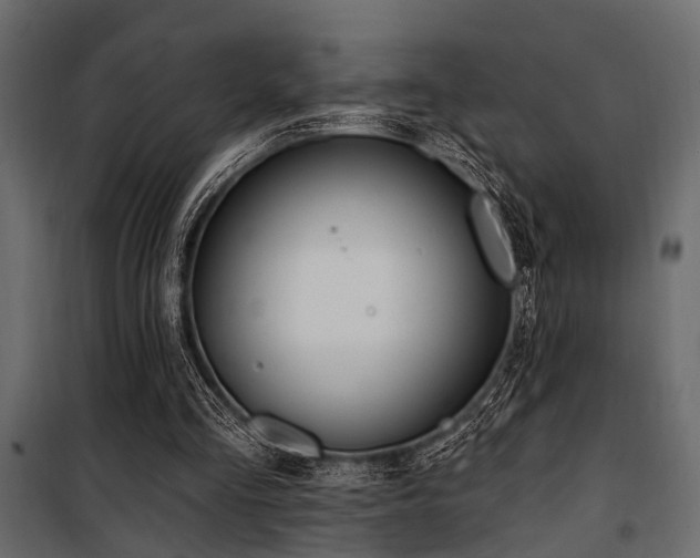 X0000100750293200806191150