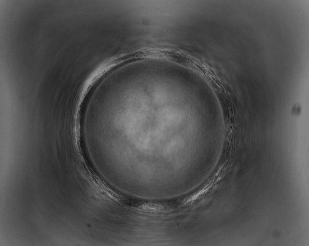 X0000100750294200806191150