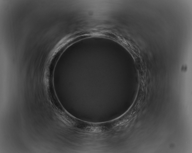 X0000100750295200806191150