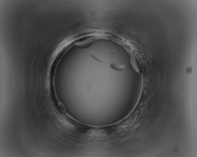 X0000100750296200806191150