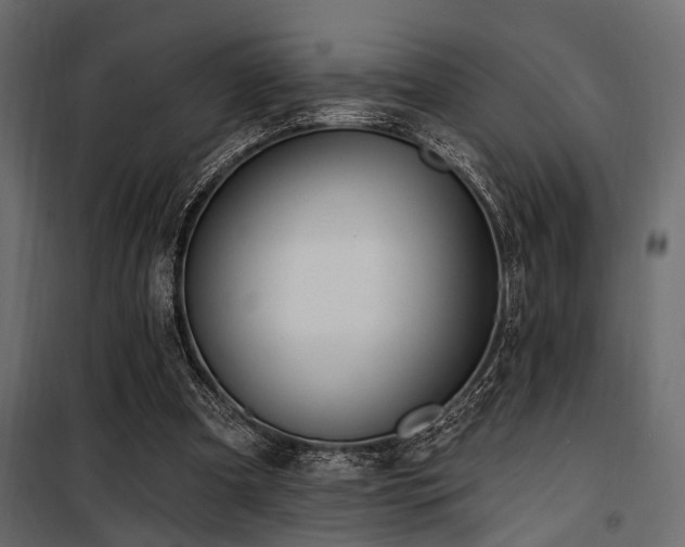 X0000100750297200806191150