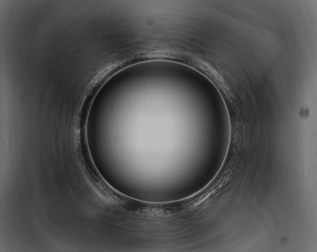 X0000100750298200806191150