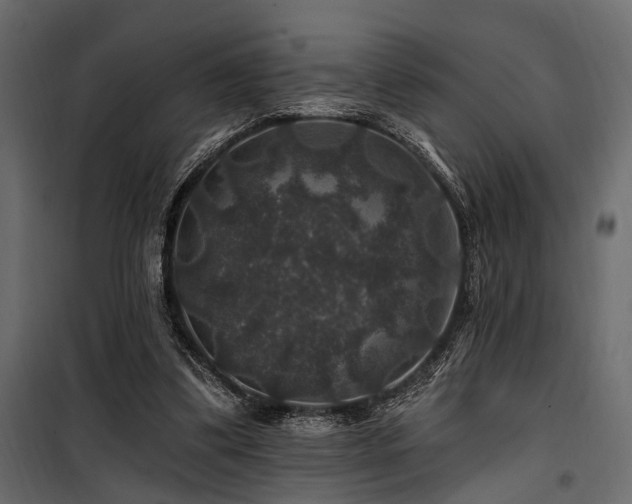 X0000100750299200806191150