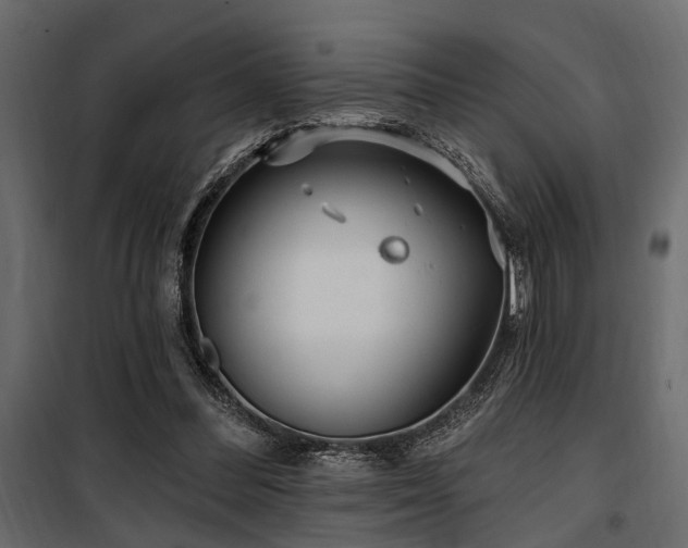 X0000100750300200806191150