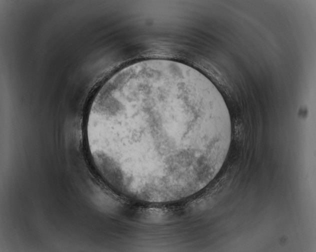 X0000100750302200806191150